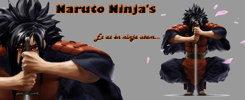 Naruto Ninjas